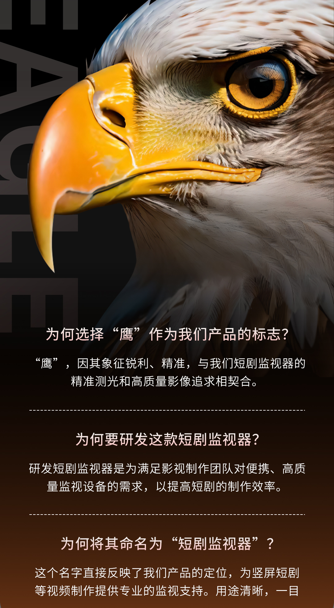 瑞鸽AT133HR-3