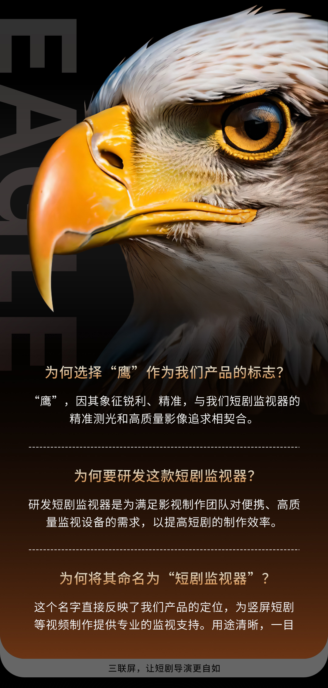 瑞鸽AT133HL-3